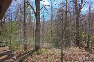 135 Cataloochee Ln, Waynesville, NC 28785 - Photo 43