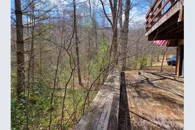 135 Cataloochee Lane, Waynesville, NC 28785 - Photo 41