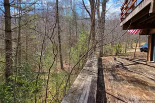 135 Cataloochee Ln, Waynesville, NC 28785 - Photo 41