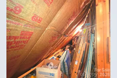 135 Cataloochee Lane, Waynesville, NC 28785 - Photo 29