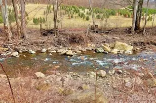 6367 Nc 261 Hwy, Bakersville, NC 28705 - Photo 7