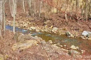 6367 Nc 261 Hwy, Bakersville, NC 28705 - Photo 41