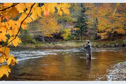 1644 Broadstone Road, Banner Elk, NC 28604 - Photo 41