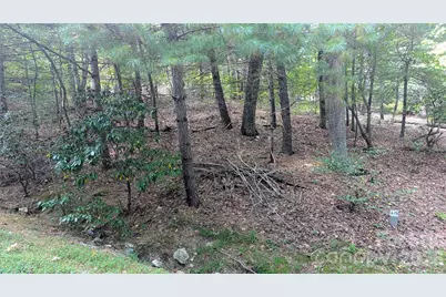 101 Scenic Drive #74, Flat Rock, NC 28731 - Photo 1