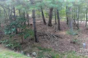 101 Scenic Dr, Flat Rock, NC 28731 - Photo 1