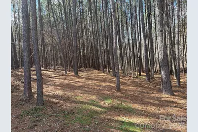 Tbd Makayla Drive, Oakboro, NC 28129 - Photo 3