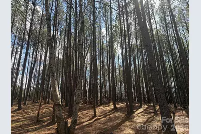 Tbd Makayla Drive, Oakboro, NC 28129 - Photo 9