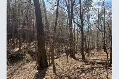 Tbd Makayla Drive, Oakboro, NC 28129 - Photo 7