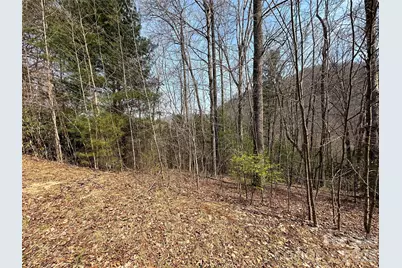 Tbd Wood Stone Drive #14, Hendersonville, NC 28792 - Photo 3