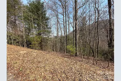 Tbd Wood Stone Drive #14, Hendersonville, NC 28792 - Photo 1