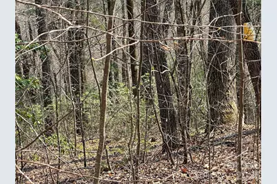 Tbd Wood Stone Drive #14, Hendersonville, NC 28792 - Photo 5