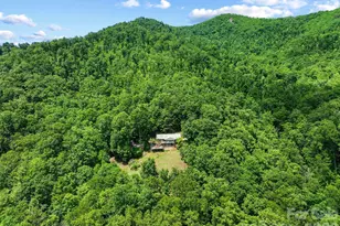 60 Little Creek Dr, Canton, NC 28716 - Photo 43
