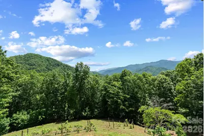 60 Little Creek Drive, Canton, NC 28716 - Photo 45