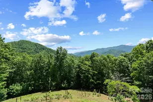 60 Little Creek Dr, Canton, NC 28716 - Photo 45