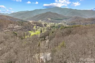 60 Little Creek Dr, Canton, NC 28716 - Photo 45