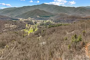 60 Little Creek Dr, Canton, NC 28716 - Photo 47