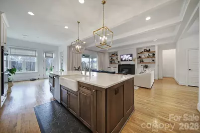 116 Broad Birch Drive, Davidson, NC 28036 - Photo 5