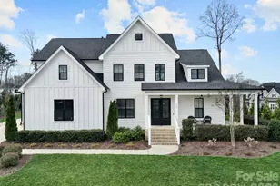 116 Broad Birch Dr, Davidson, NC 28036 - Photo 1