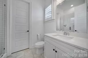 116 Broad Birch Dr, Davidson, NC 28036 - Photo 19