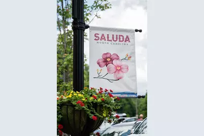 255 Hinson Terrace Drive, Saluda, NC 28773 - Photo 45