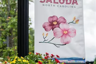 255 Hinson Terrace Dr, Saluda, NC 28773 - Photo 45