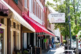 255 Hinson Terrace Dr, Saluda, NC 28773 - Photo 47