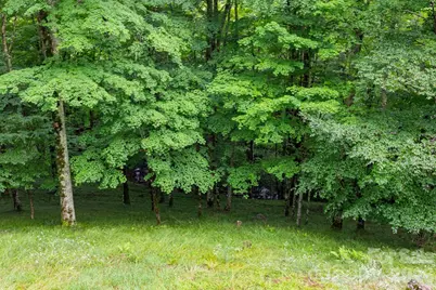 155 Mule Trail Drive, Bakersville, NC 28705 - Photo 33