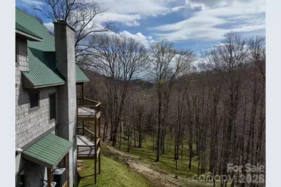 155 Mule Trail Drive, Bakersville, NC 28705 - Photo 37