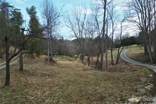 99999/46 Pug Run, Weaverville, NC 28787 - Photo 1