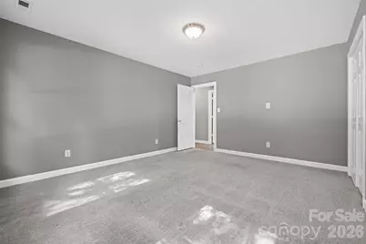 9224 Agnes Park Lane, Huntersville, NC 28078 - Photo 29