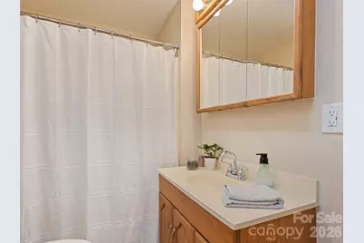 157 Morgan Street, Canton, NC 28716 - Photo 25