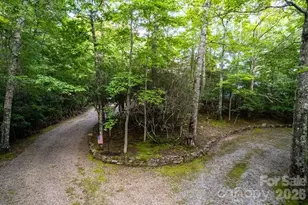 1783 W Cliff Rd, Cullowhee, NC 28723 - Photo 37