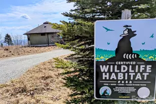 448 Howards Knob Rd, Boone, NC 28607 - Photo 13