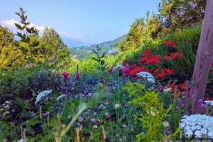 448 Howards Knob Rd, Boone, NC 28607 - Photo 11