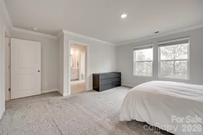 534 Palmarosa Street, Fort Mill, SC 29715 - Photo 23