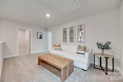 534 Palmarosa Street, Fort Mill, SC 29715 - Photo 19