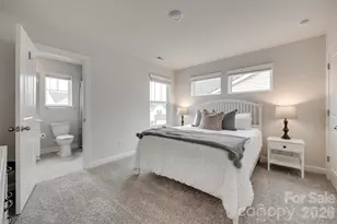 534 Palmarosa St, Fort Mill, SC 29715 - Photo 27