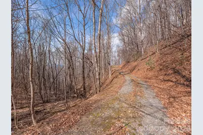 399 Goodson Spring Road, Waynesville, NC 28786 - Photo 5