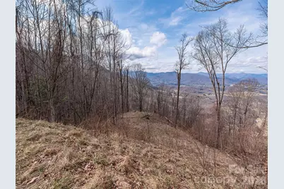 399 Goodson Spring Road, Waynesville, NC 28786 - Photo 11