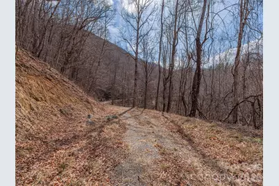 399 Goodson Spring Road, Waynesville, NC 28786 - Photo 13