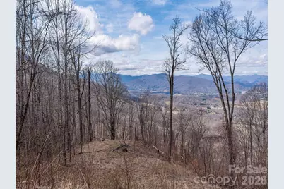 399 Goodson Spring Road, Waynesville, NC 28786 - Photo 3