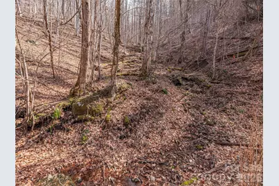 399 Goodson Spring Road, Waynesville, NC 28786 - Photo 9