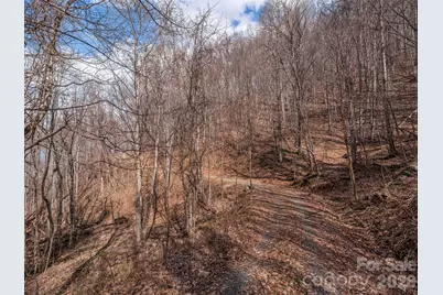 399 Goodson Spring Road, Waynesville, NC 28786 - Photo 7