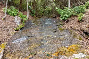 580 N Robinson Creek Rd, Glenville, NC 28736 - Photo 1