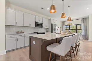 516 Mystic Pk Aly, Huntersville, NC 28078 - Photo 3