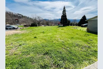 11 Terry Estate Drive, Black Mountain, NC 28711 - Photo 3