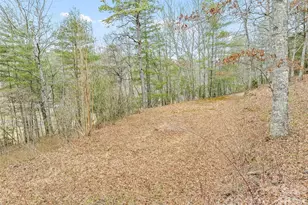 171 Fortner Rd, Bryson City, NC 28713 - Photo 29