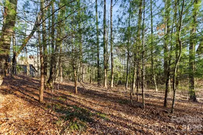 Lot 125 Thunder Mountain Road, Hendersonville, NC 28792 - Photo 5