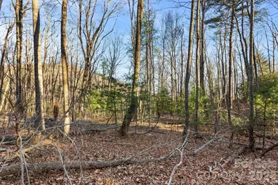 Lot 125 Thunder Mountain Road, Hendersonville, NC 28792 - Photo 9