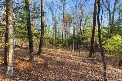 Lot 125 Thunder Mountain Road, Hendersonville, NC 28792 - Photo 7